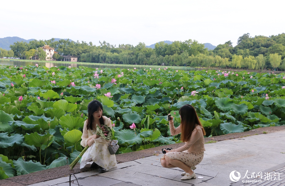 游客與西湖荷花合影。人民網(wǎng) 王麗瑋攝