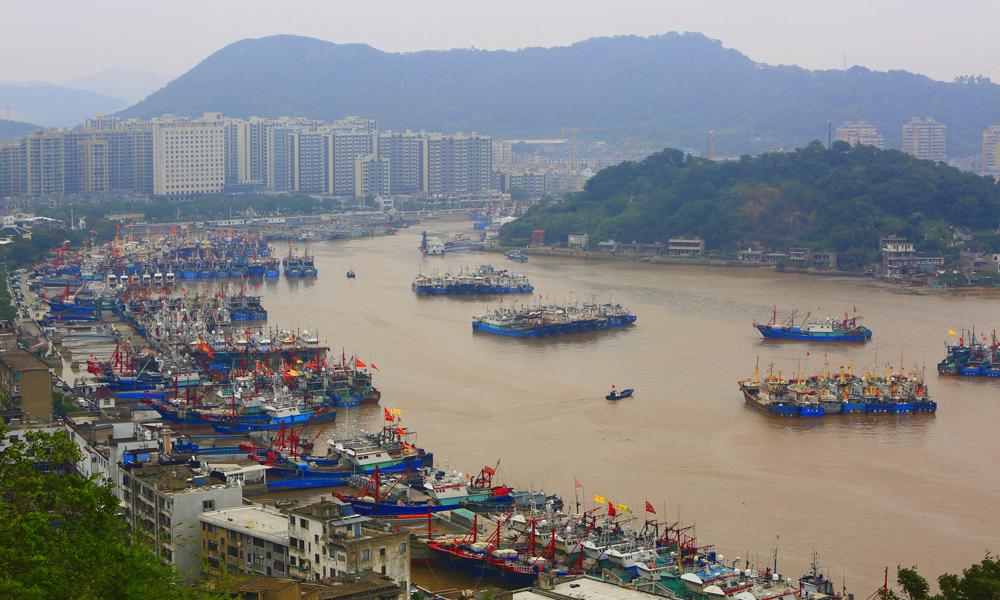 10月17日，在寧波象山石浦魚港，不少漁船歸港避風。謝定會攝