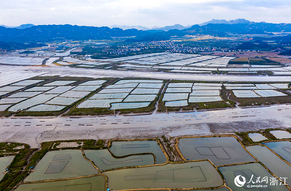 空中俯瞰臺州市三門縣萬畝養殖塘，美景如畫。人民網 章勇濤攝