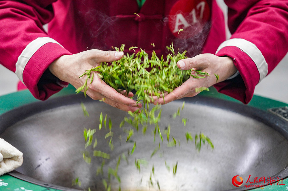 3月21日，在浙江嵊州，炒茶能手參加龍井茶炒制大賽。人民網(wǎng) 章勇濤攝