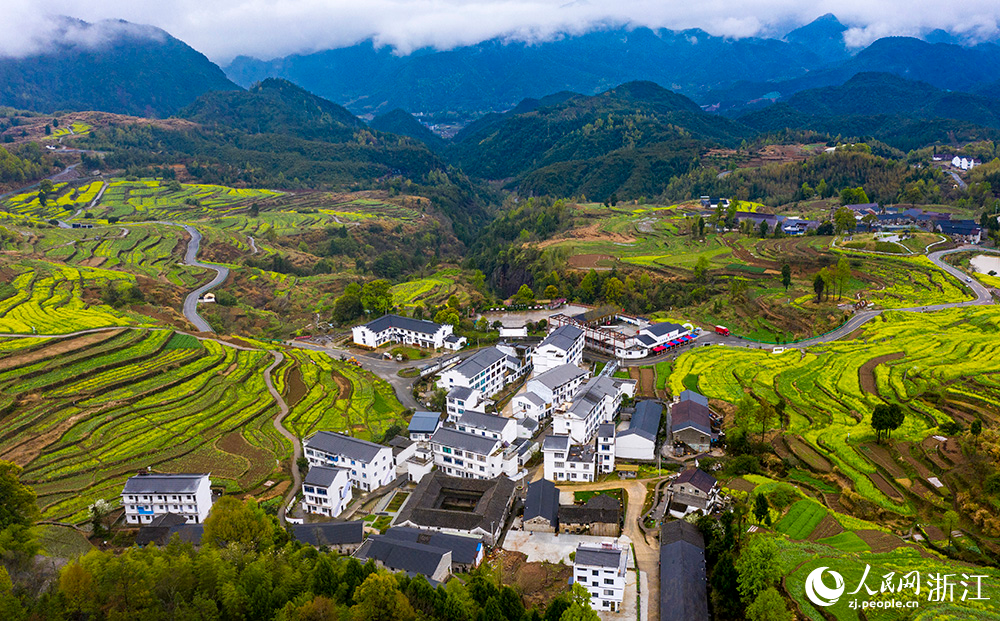 楊豐山村油菜花競相開放，構(gòu)成一幅秀美的鄉(xiāng)村田園畫卷。人民網(wǎng) 章勇濤攝