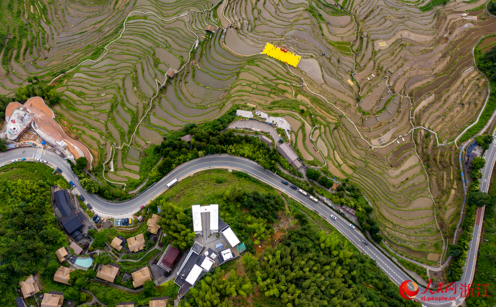 6月10日，空中俯瞰麗水云和梯田，猶如一幅美麗的山水畫卷。人民網(wǎng) 章勇濤攝