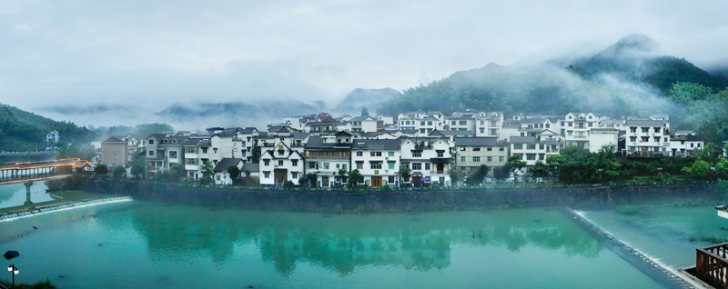 水墨下姜。程海波攝