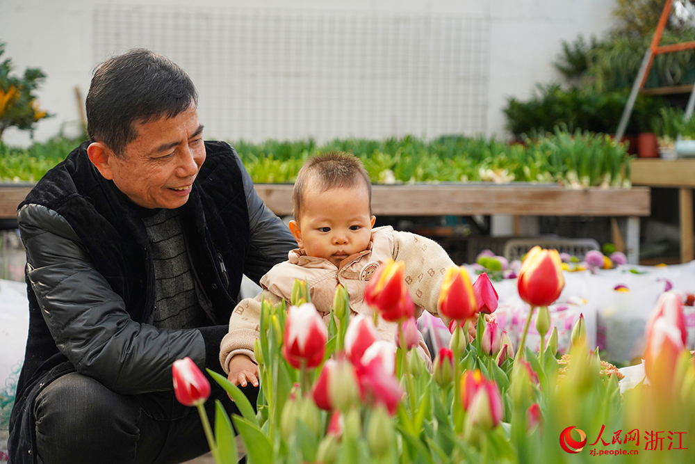 近日，小朋友在杭州市拱墅區(qū)石橋街道楊家花卉世界內觀看年宵花。人民網 章勇濤攝