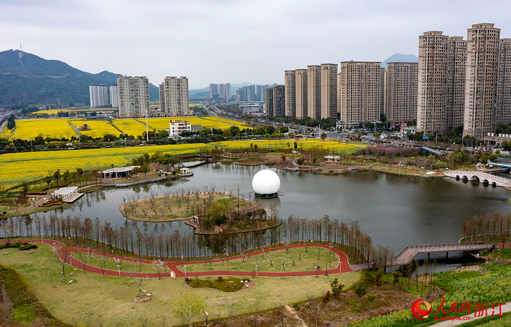 近日，浙江省樂清市現代都市田園綜合體的數千畝油菜花驚艷綻放。人民網 章勇濤攝