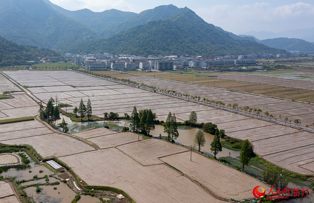 從空中俯瞰浙江省瑞安市曹村鎮的萬畝田園，春色如畫。人民網 章勇濤攝