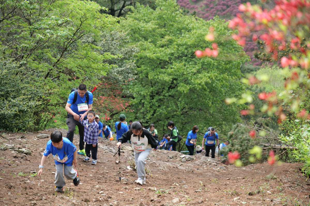 選手們在比賽中。四明山鎮供圖