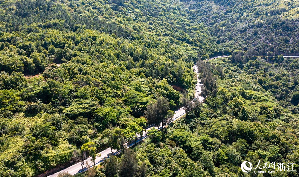 空中俯瞰“中國東海岸一號公路”宛如玉帶，綿延山海間，勾勒出一幅“山海蒼南”的天然圖景。人民網 章勇濤攝