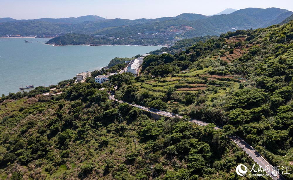 空中俯瞰“中國東海岸一號公路”宛如玉帶，綿延山海間，勾勒出一幅“山海蒼南”的天然圖景。人民網 章勇濤攝