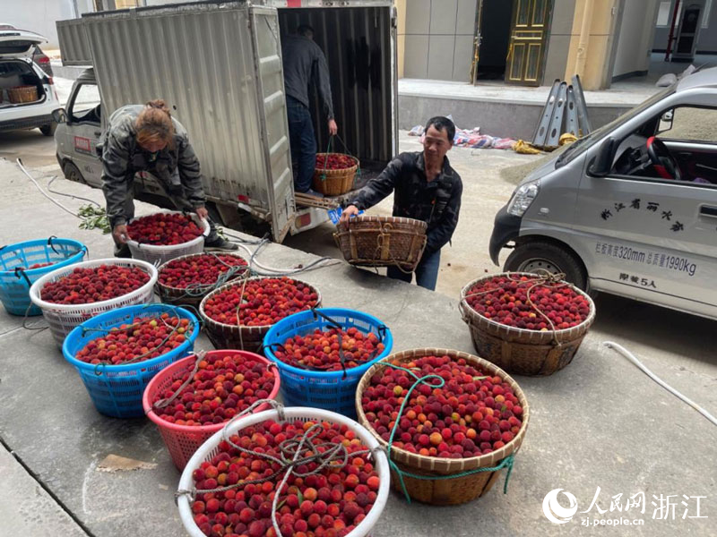 采摘工姚阿麗（左一）爭分奪秒地將一筐筐連夜采摘的楊梅搬下運輸車，送往中央冷庫分揀、包裝。人民網記者 王麗瑋攝