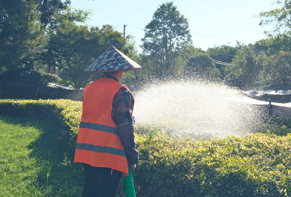 綠化工人正在進行澆水作業。程欣攝