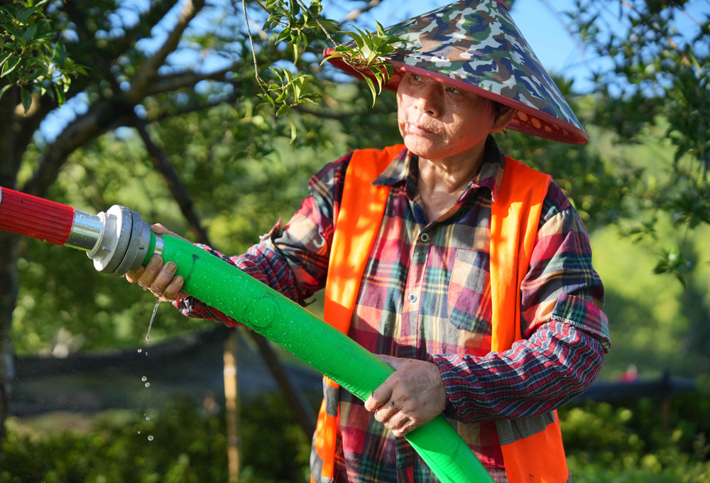 綠植工人正在進行澆水作業。吳承予攝