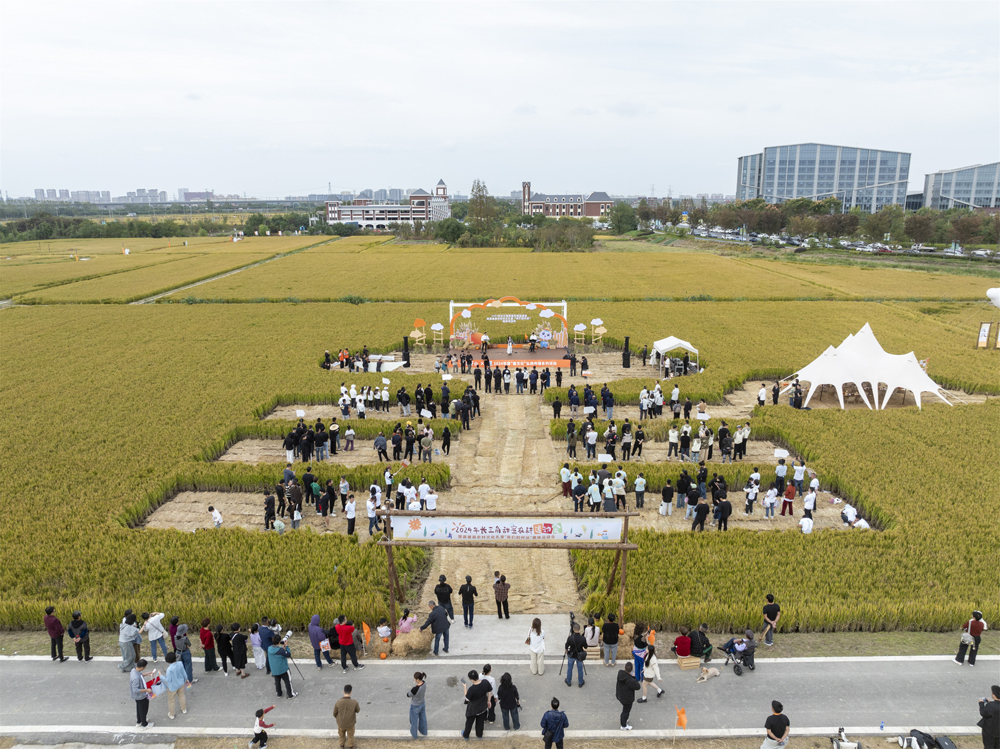 2024年長(zhǎng)三角甜蜜農(nóng)耕運(yùn)動(dòng)會(huì)在嘉興嘉善舉行。嘉善縣委宣傳部供圖