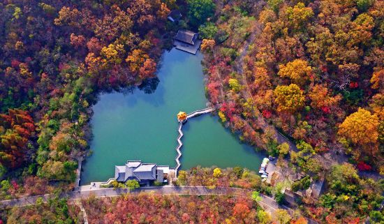 滁州瑯琊山一景。滁州市林業局供圖