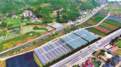 乾潭鎮(zhèn)前陵村杜鵑花卉共富工坊種植基地（航拍圖） 市林水局供圖